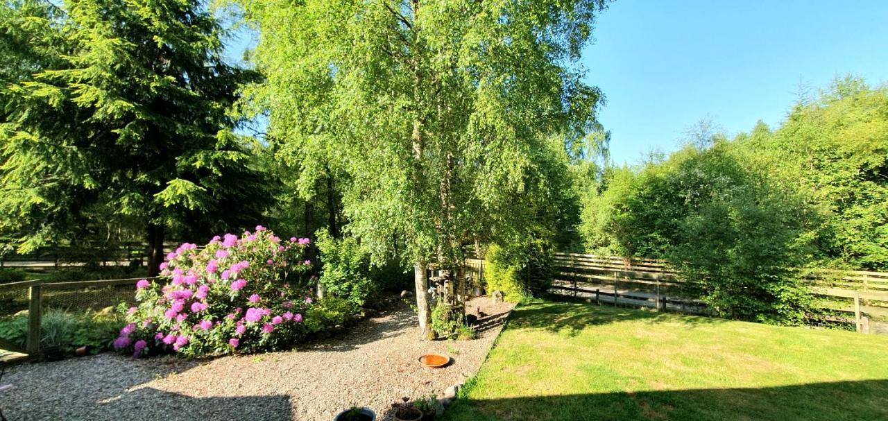 Torcroft Lodges Drumnadrochit Extérieur photo
