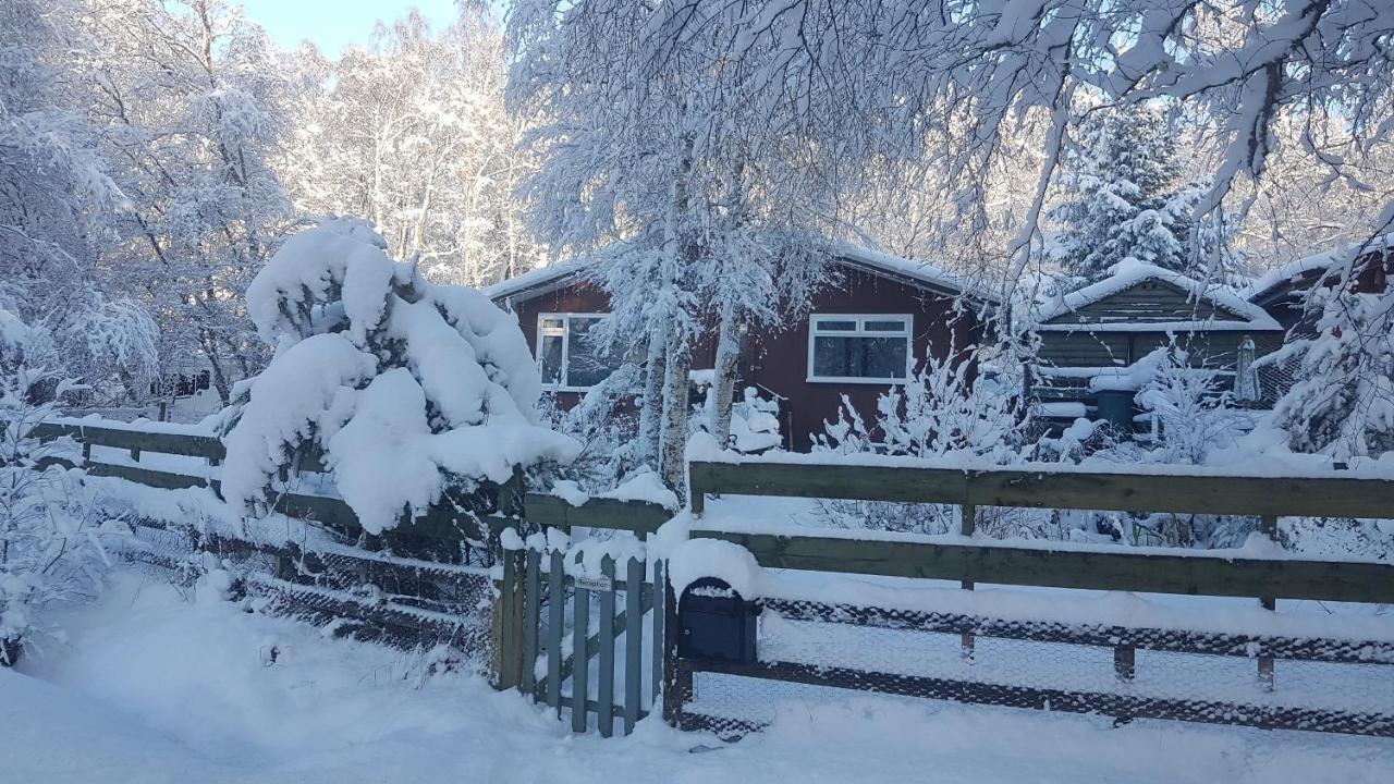 Torcroft Lodges Drumnadrochit Extérieur photo