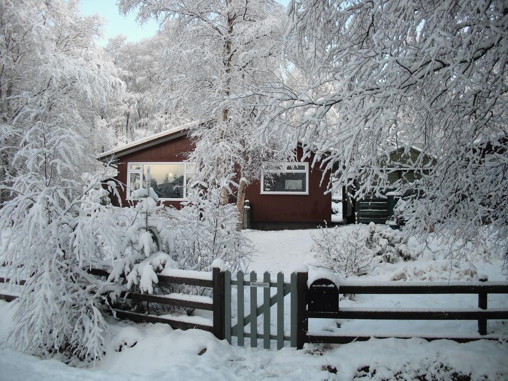 Torcroft Lodges Drumnadrochit Chambre photo